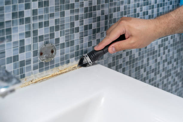 Best Professional Mold Removal  in Marlette, MI